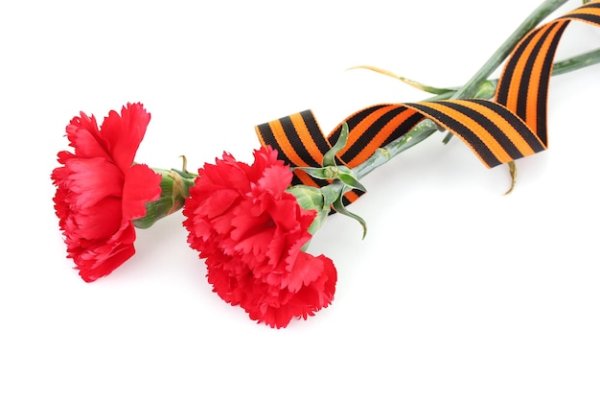 Гвоздики с георгиевской лентой