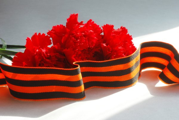 Гвоздики с лентой