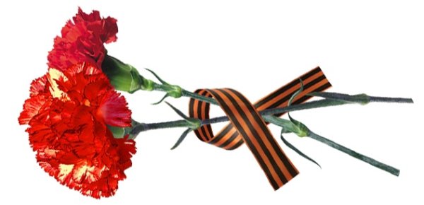 Георгиевская ленточка и гвоздики