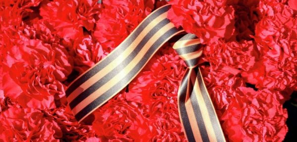 Георгиевская лента с гвоздикой