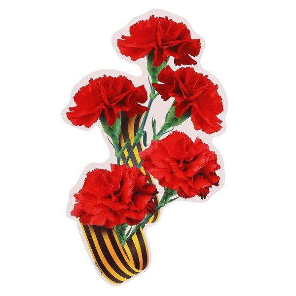 Георгиевская лента с гвоздикой