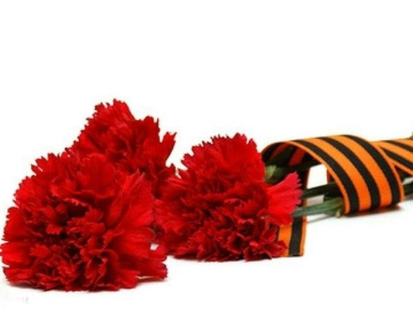 Георгиевская ленточка и гвоздика, пилотка