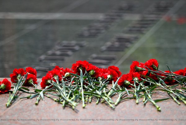 Гвоздики 9 мая