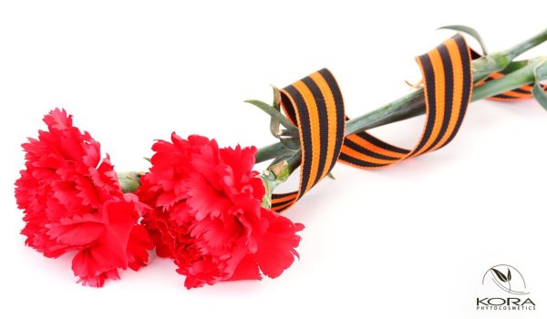 Гвоздики с ленточкой