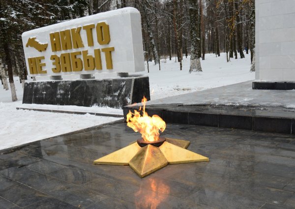 Вечный огонь Кострома