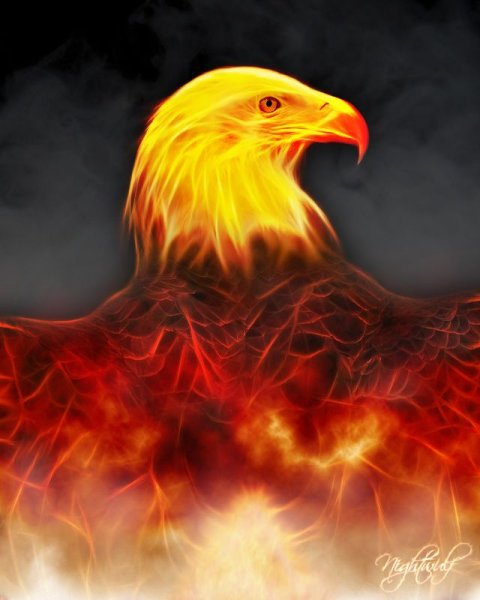Птица с огненными глазами