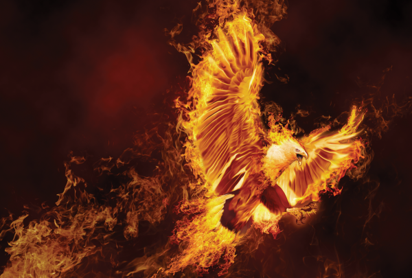 Орел в огне