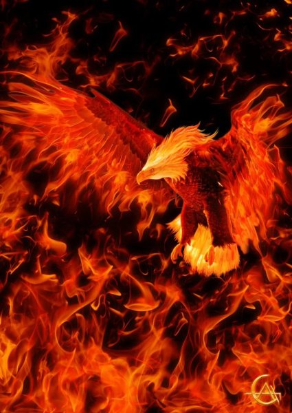Птица Феникс