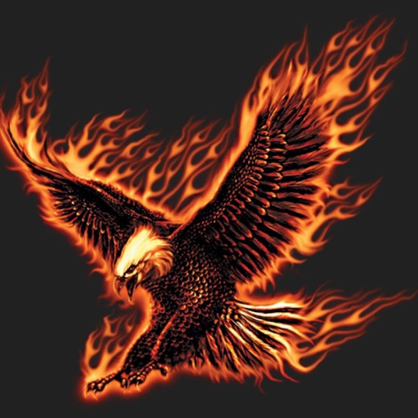 Огненный Орел тату