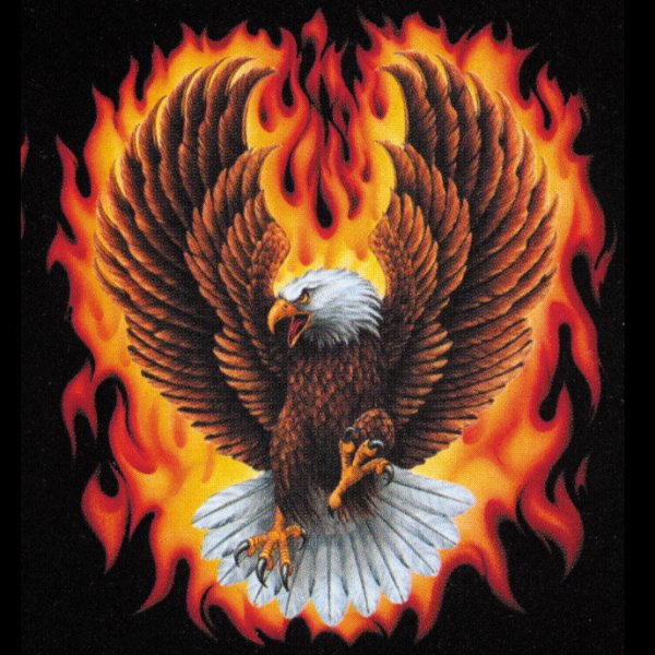 Огонь в чёрном фоне с ястребом