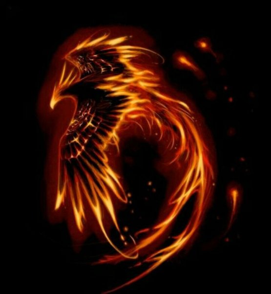 Черный Феникс