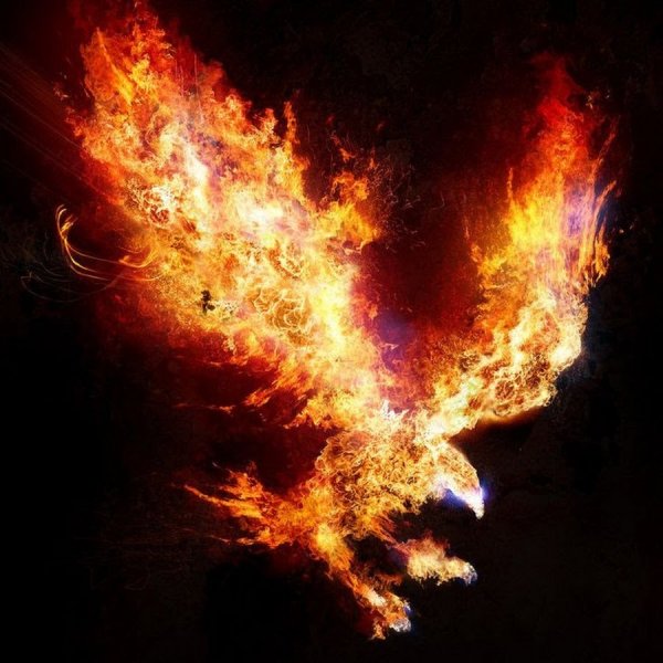 Восстание Феникса из пепла