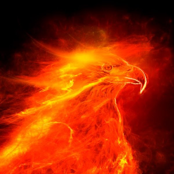 Огненный Орел на черном фоне