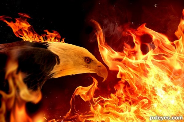 Fire Eagle