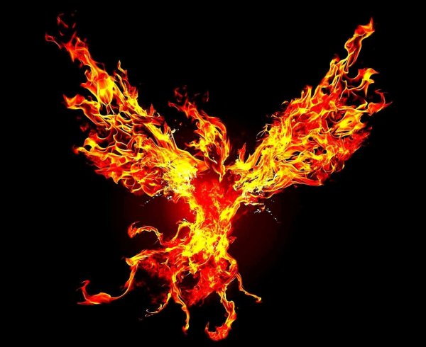 Птица Феникс