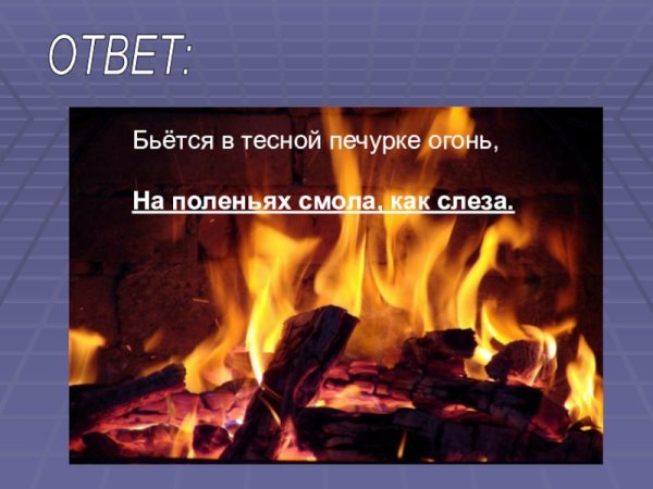 Бьется в печурке огонь
