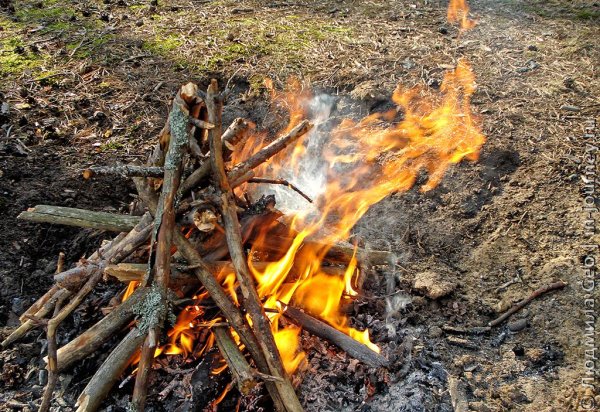 Разведение костра в лесу