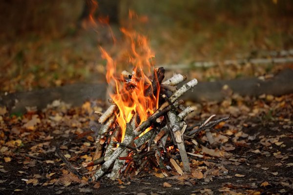 Костер в лесу