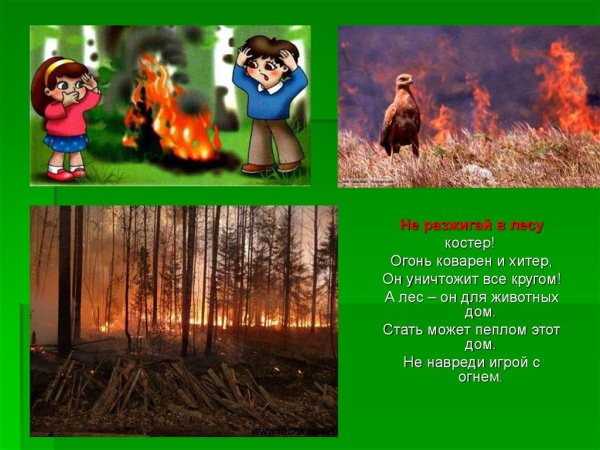 Не разжигай костер в лесу