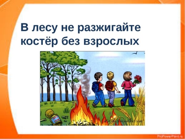 В лесу не разжигайте костер без взрослых