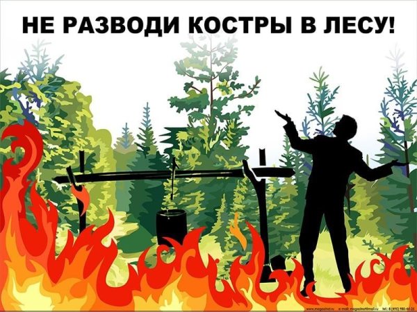 Плакат "берегите лес!"