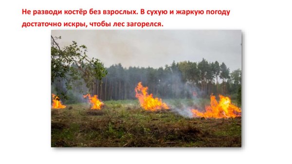 Не разводить костры