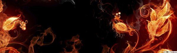 Огненный цветок на черном фоне