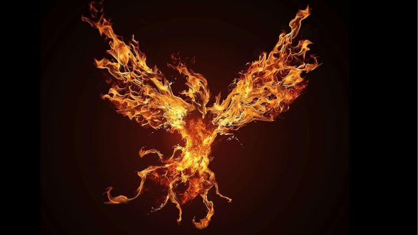 Огонь высокое качество