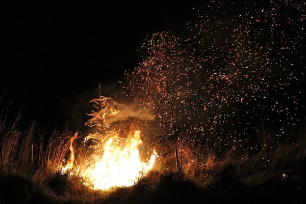Искры костра дым ночь