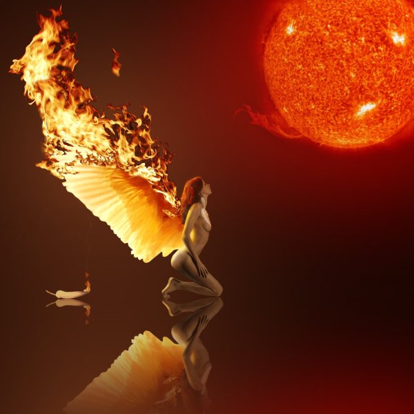 Огненная бабочка