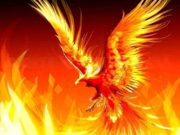 Рарог Сокол Феникс Финист