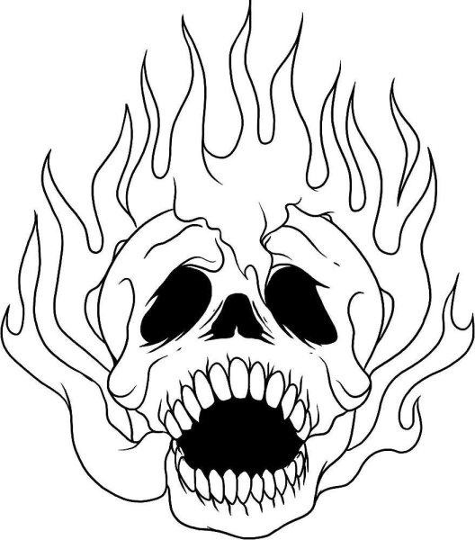 Череп рисунок карандашом