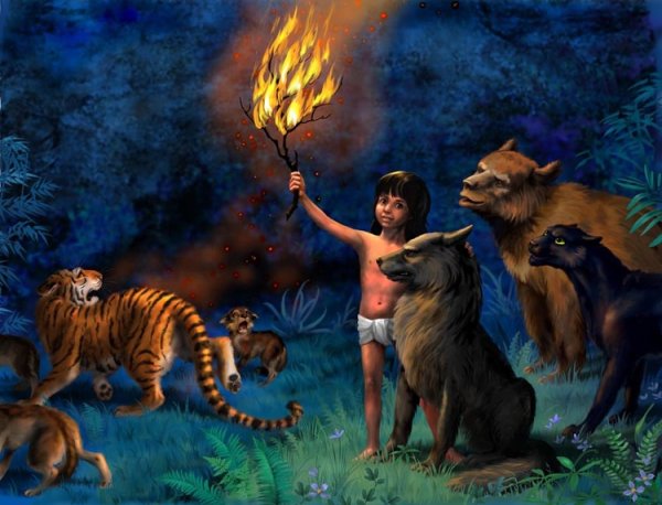 Огненный цветок Маугли