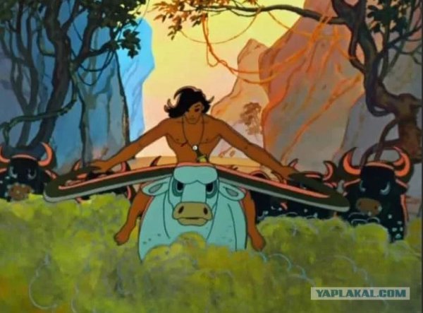 Маугли на Буйволе