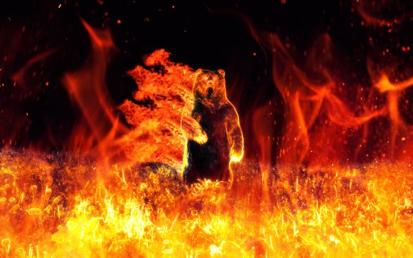 Медведь в огне