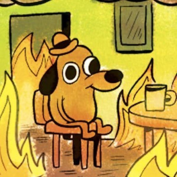 Собачка в огне