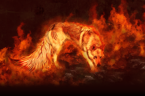 Волк в огне