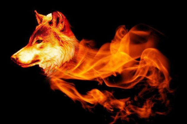 Волк в огне