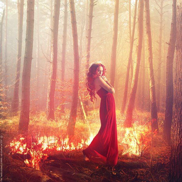 Фотосессия в Красном платье в лесу