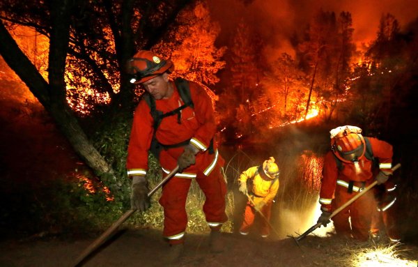 Пожарники в лесу