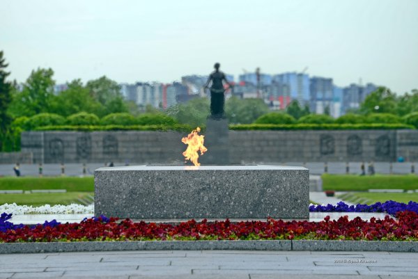 Пискаревский мемориал вечный огонь