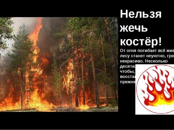 Нельзя разводить костер в лесу