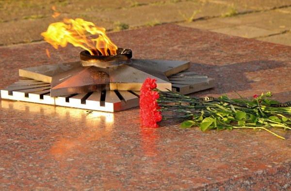 Гвоздики у вечного огня