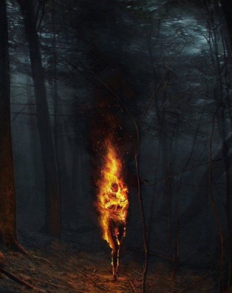 Лес в огне арт