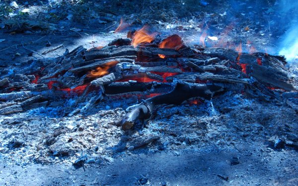 Потухший костер