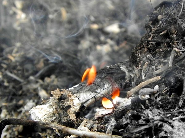 Костер потух