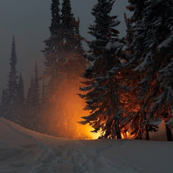 Костер в зимнем лесу