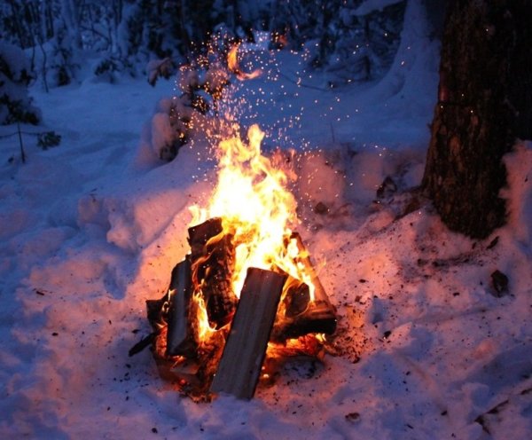Костер в зимнем лесу