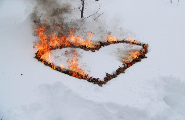 Огонь на снегу