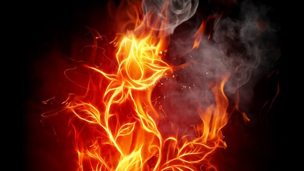 Огненный цветок